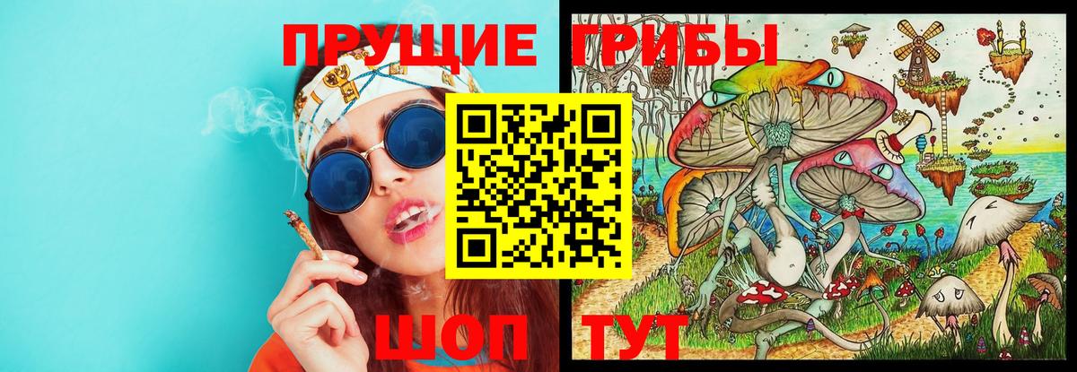 Воскресенск  Псилоцибиновые грибы Cubensis  Вход с VPN 